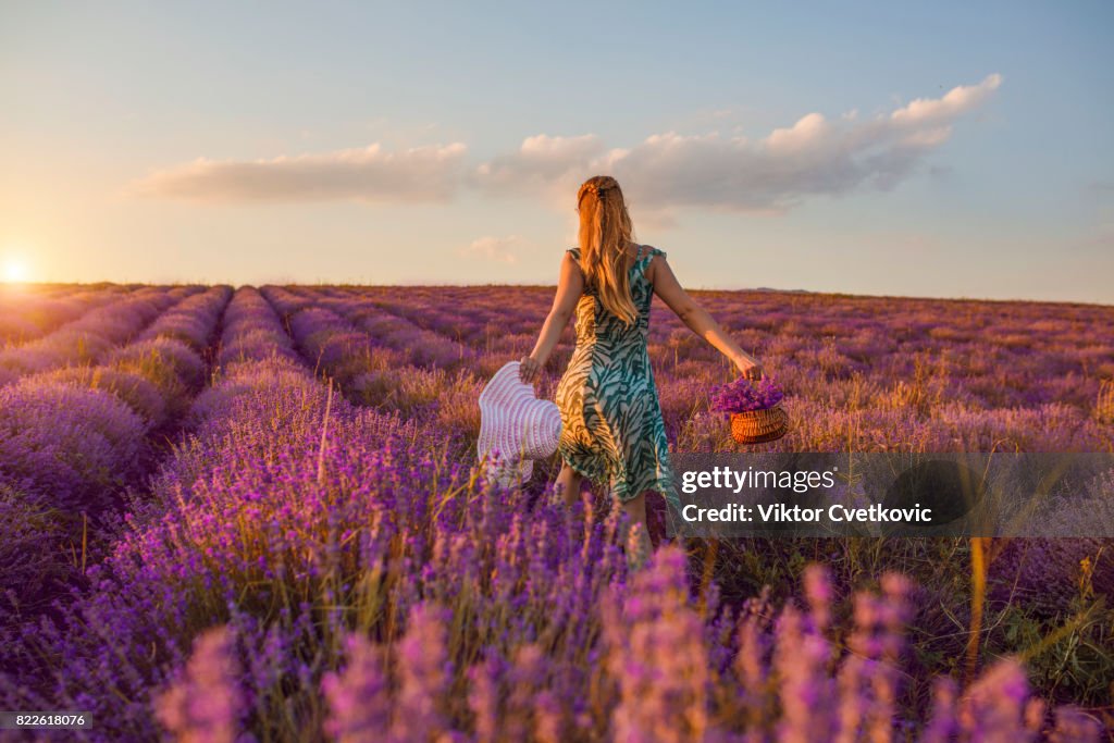 Young girl in a purple flowers of lavender