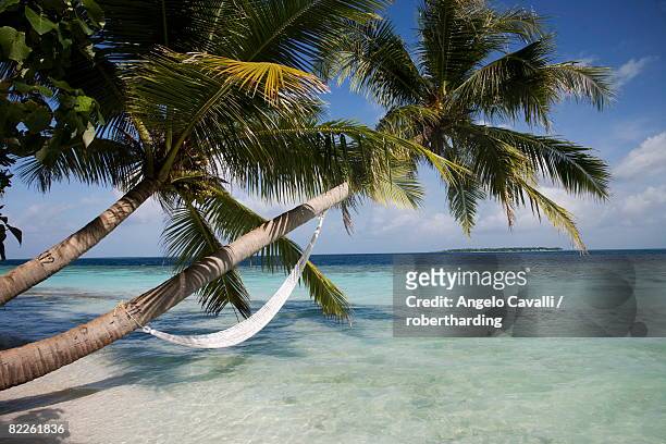 vilamendhoo island, ari atoll, maldives, indian ocean, asia - vilamendhoo stock-fotos und bilder