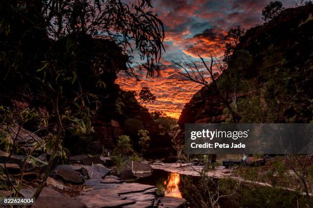 kalamina gorge sunrise - peta jade stock pictures, royalty-free photos & images