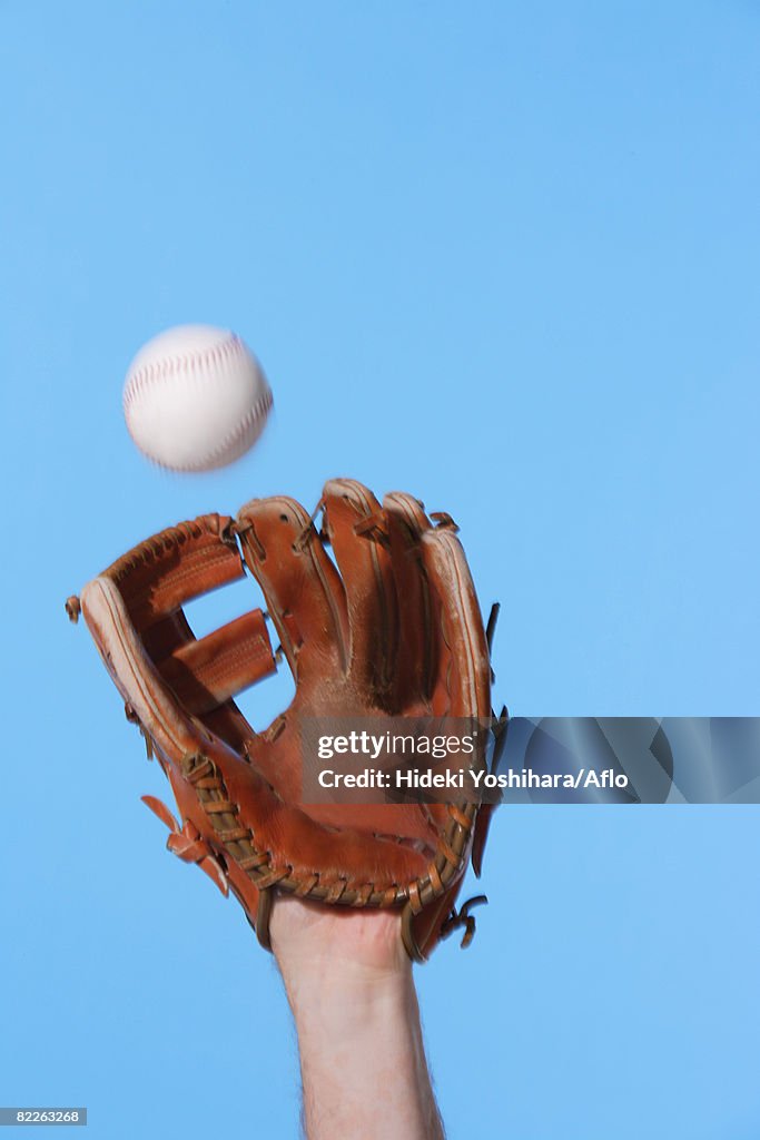 Catcher Catching a Baseball