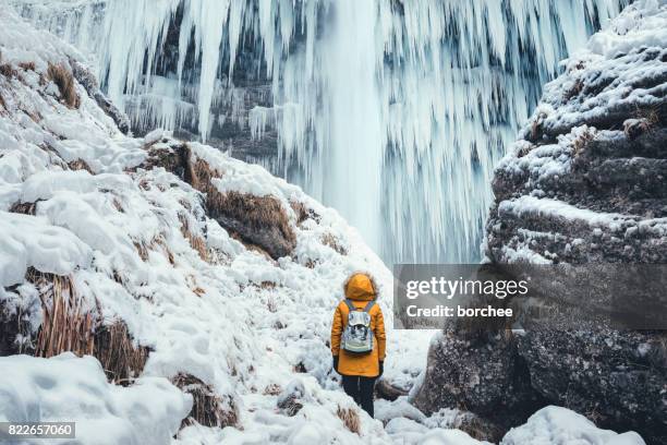 godersi i grandi spazi aperti - icicles foto e immagini stock