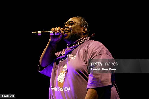 Rapper 8-Ball performs during a tribute to rapper Pimp C during the 3rd Annual Ozone Awards on August 11, 2008 in Houston, Texas.