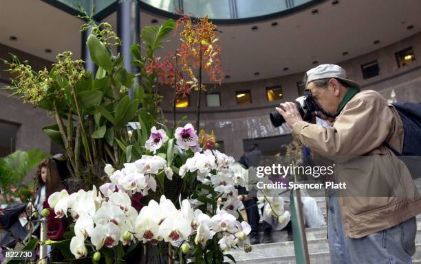 Floral enthusiast photographs a set of orchids April 5, 2001 at the New York International Orchid Show in New York's World Financial Center....
