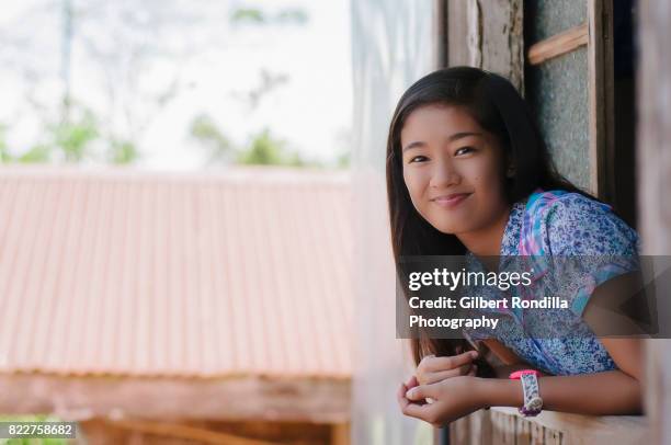 teenage girl by the window - luisiana photos et images de collection