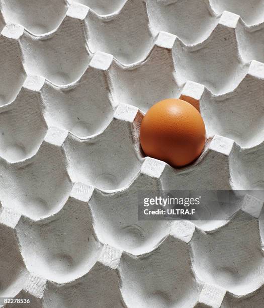 an egg on tray - egg carton stock pictures, royalty-free photos & images
