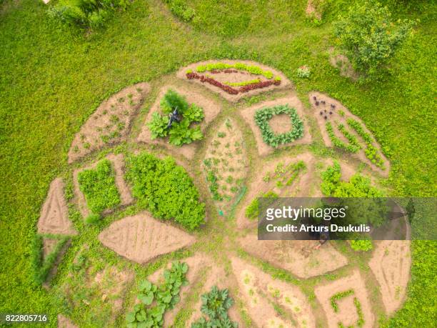 Magical shape allotment garden inside a city