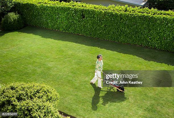 mature woman doing yard work - wheelbarrow stock pictures, royalty-free photos & images