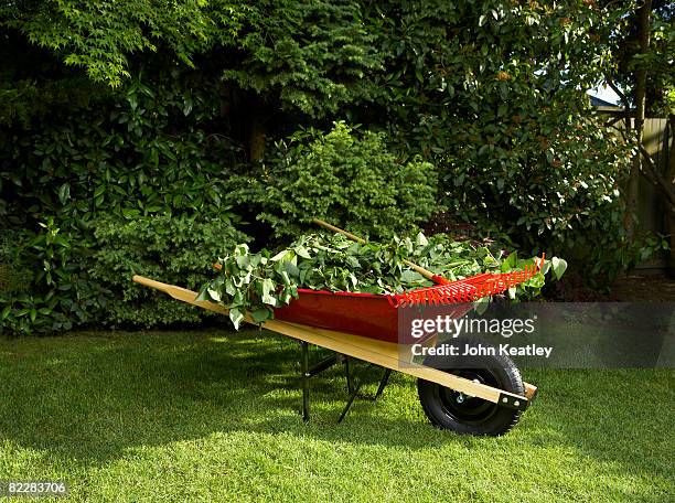 wheelbarrow full of branches - kruiwagen stockfoto's en -beelden