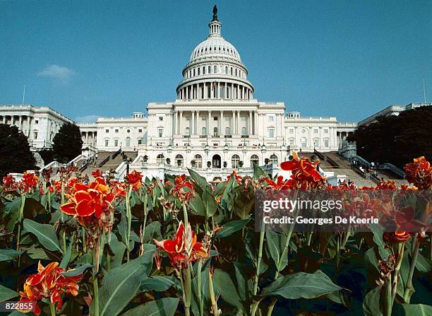 The United States Capitol building in Washington, DC July 24, 1998.