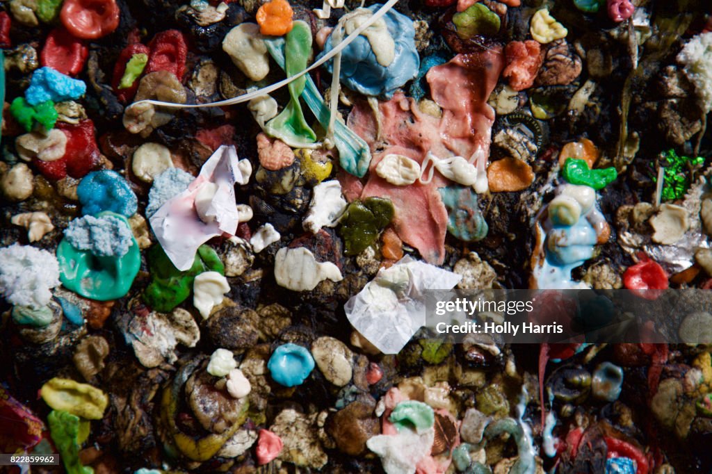 Bubblegum on wall in "Bubblegum Alley"
