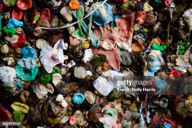 bubblegum on wall in "bubblegum alley" - bubblegum alley san luis obispo stock pictures, royalty-free photos & images