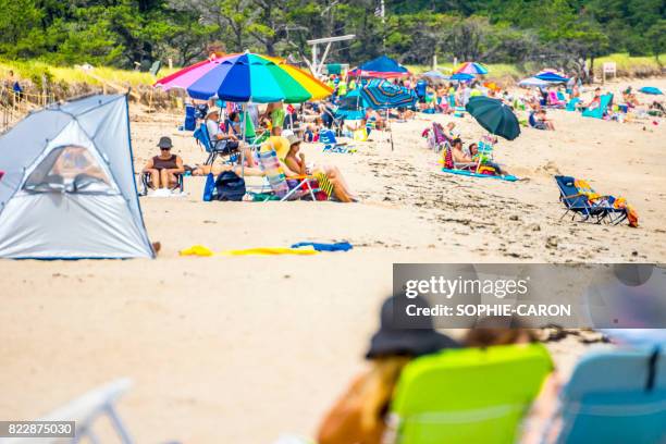 vacanciers sur la plage - parasol de plage fotografías e imágenes de stock