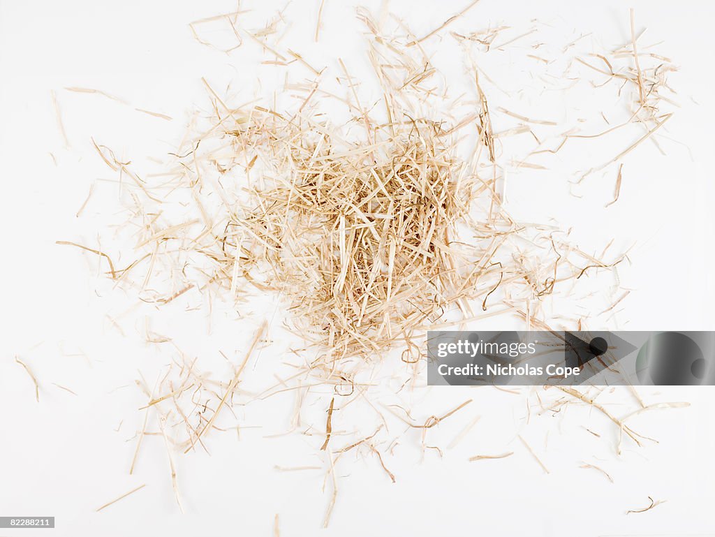 Clump of hay on pure white ground