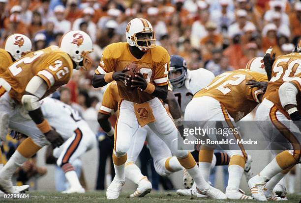 Doug Williams of the Tampa Bay Buccaneers goes back to pass during a NFL game against the Chicago Bears on November 1. 1981 in Tampa, Florida.