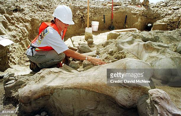 San Bernardino County Museum paleontologist Carrie Lambert uncovers 30,000-year-old fossils near a leg bone of the second largest mastodon ever found...