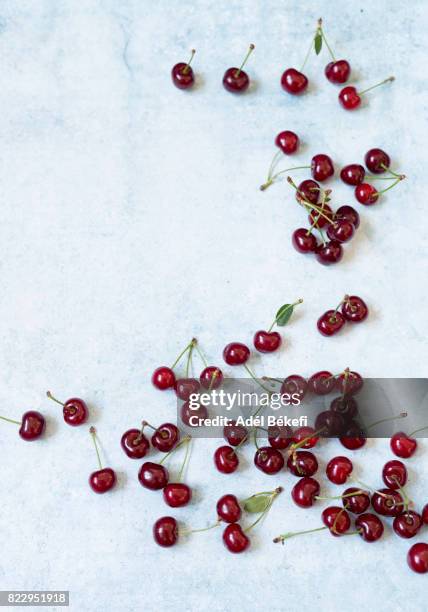 sour cherry on blue background - cerise sure photos et images de collection