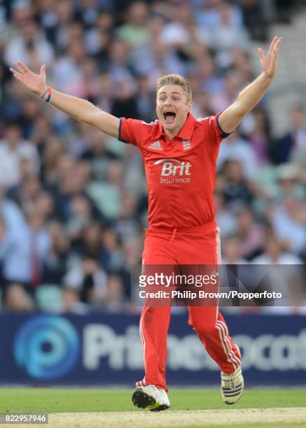 England bowler Luke Wright appeals for a wicket during the 1st NatWest International Twenty20 match between England and New Zealand at The Oval,...