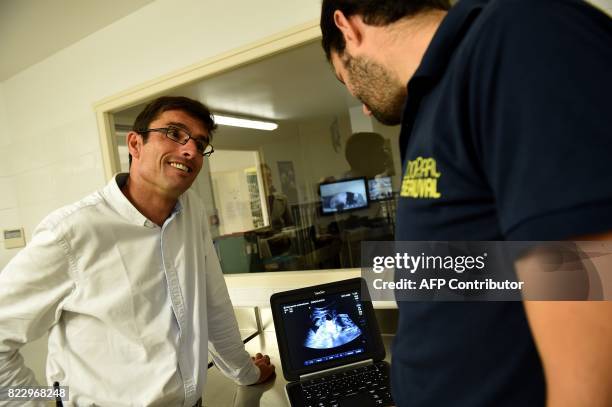 Director of the Beauval Zoo Rodolphe Delord and Veterinary Antoine Leclerc look at the echography of the pregnant female panda Huan Huan on July 2017...