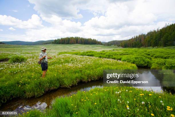 man fly fishing colora - steamboat springs colorado photos et images de collection