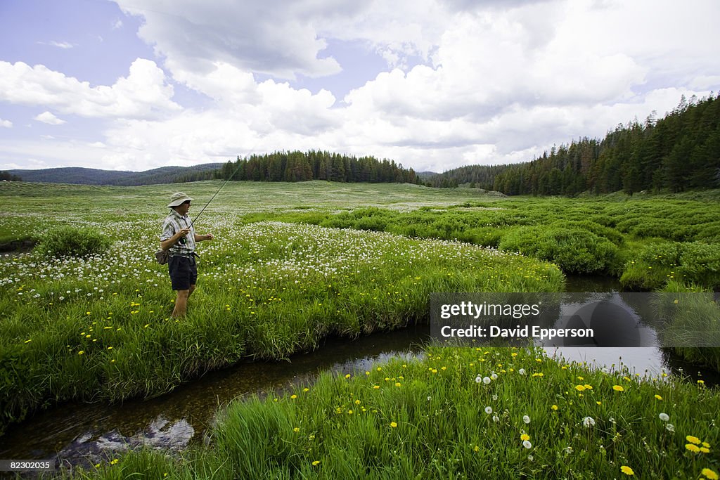 Man Fly Fishing Colora