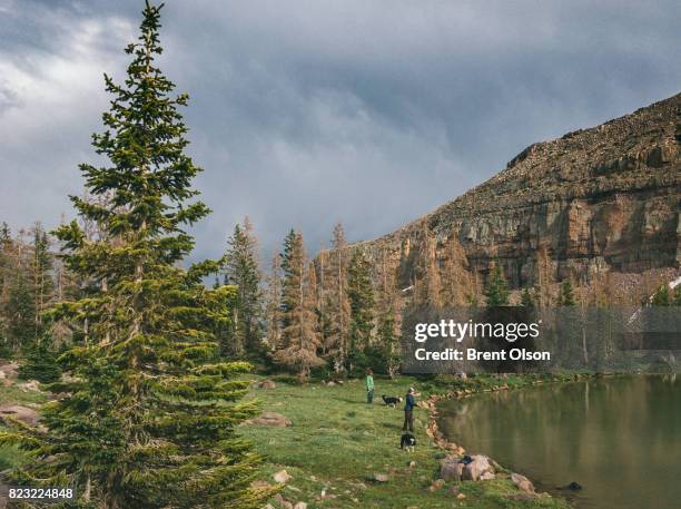 fly fishing in the high uintas - high-uintas-wilderness stock pictures, royalty-free photos & images