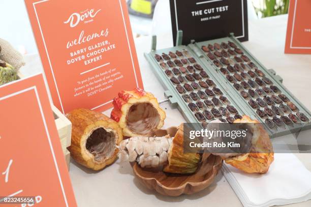 Cacao pods and Cocoa beans on display at Dove Chocolate Journey Series Screening at The New Museum on July 26, 2017 in New York City.