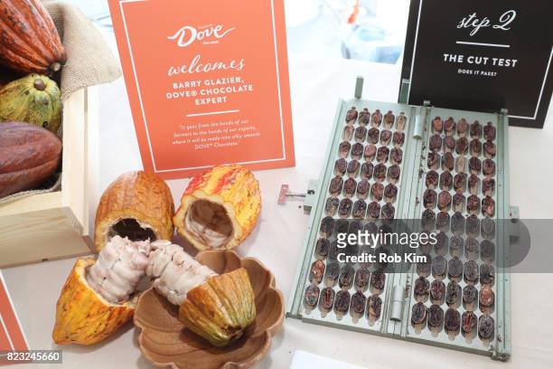 Cacao pods and Cocoa beans on display at Dove Chocolate Journey Series Screening at The New Museum on July 26, 2017 in New York City.