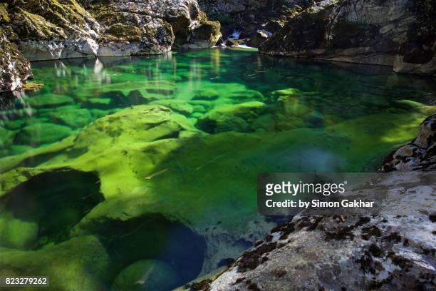 emerald green natural plunge pool near to rijecki grad, montenegro - lake bottom foto e immagini stock