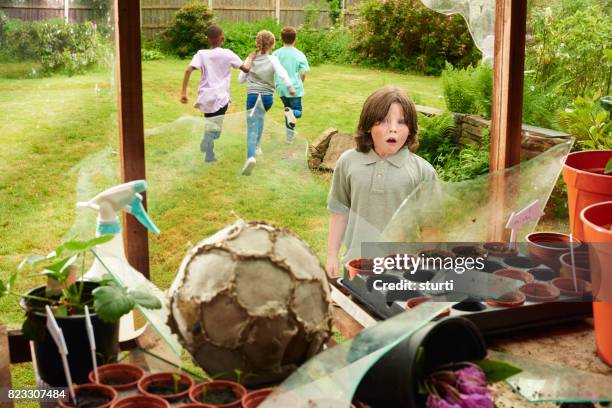 greenhouse football - vidro quebrado imagens e fotografias de stock