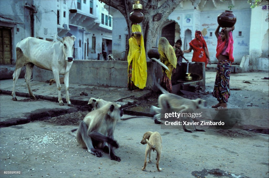 Women Fetching Water At The Village Pump With Animals Playing