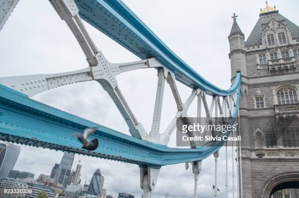 london tower bridge -detail - silvia casali stockfoto's en -beelden