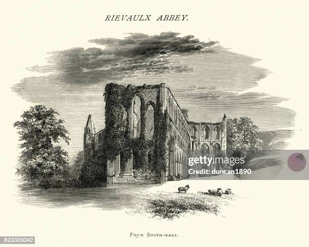 rievaulx abbey, from south-east, north yorkshire, 19th century - rievaulx abbey stock illustrations