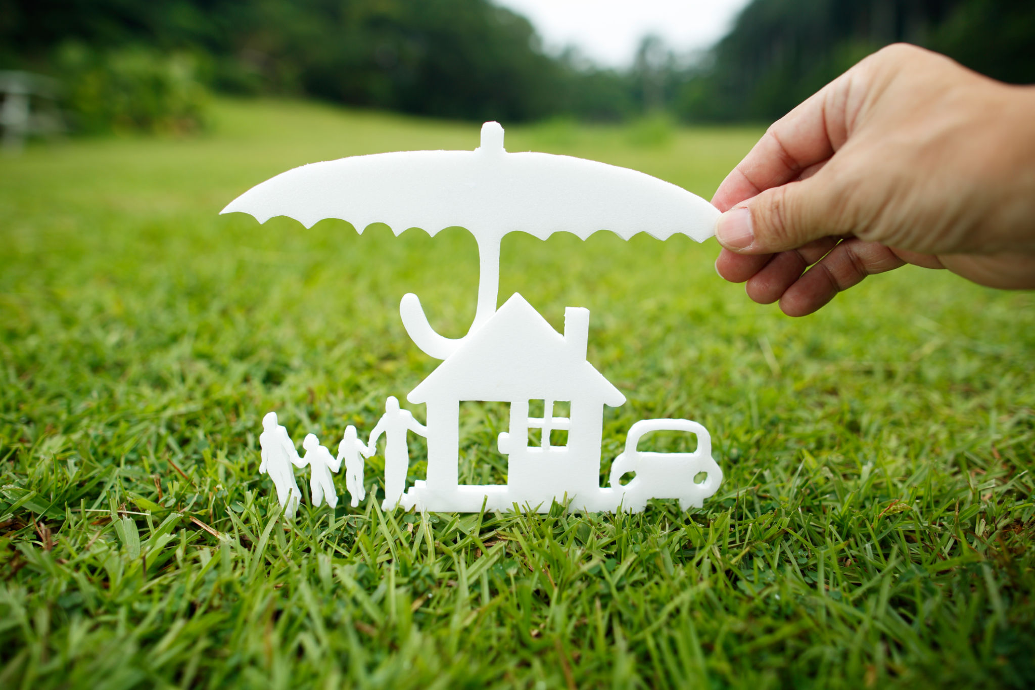 Protection of the family property Protection of the family property