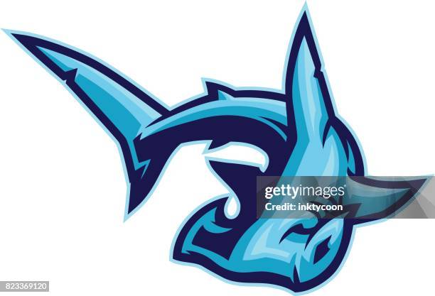 hammerhead shark - hamerkop bird stock illustrations