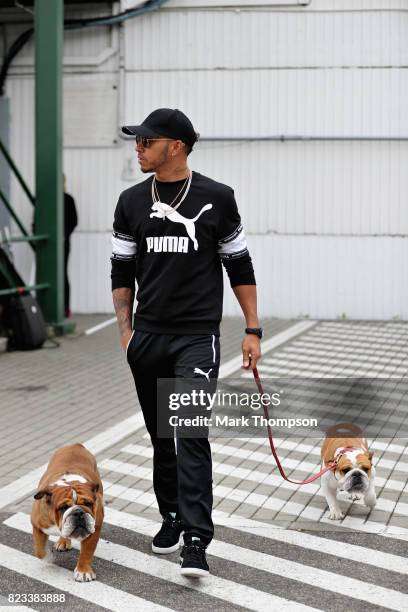 Lewis Hamilton of Great Britain and Mercedes GP arrives at the circuit with dogs, Roscoe and Coco during previews ahead of the Formula One Grand Prix...