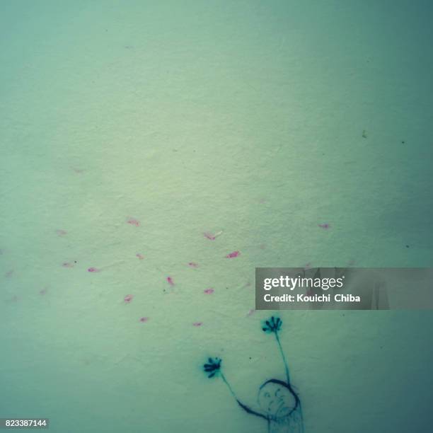 a shower of blossoms - kouichi chiba imagens e fotografias de stock