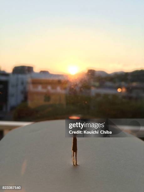 watch the sunset silhouette - kouichi chiba stock pictures, royalty-free photos & images