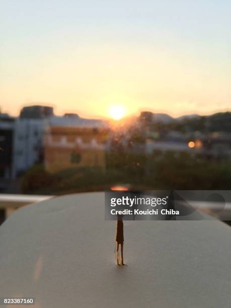 watch the sunset silhouette - kouichi chiba imagens e fotografias de stock