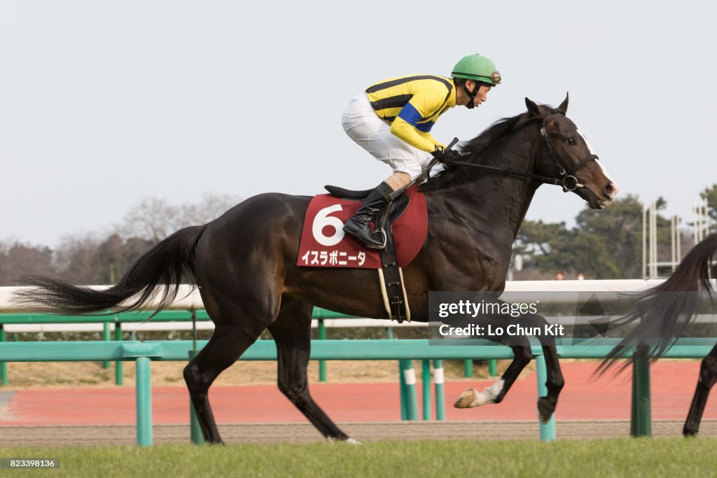 Nakayama Kinen (G2 1800m) at Nakayama Racecourse, Japan