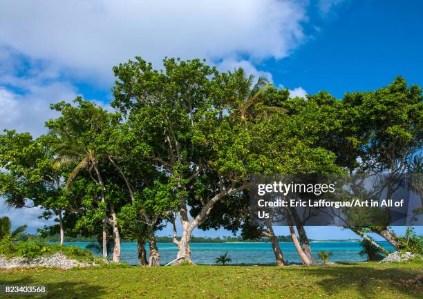 Shefa Bushe 59 Shefa (Province) Stock Photos, High-Res Pictures, and Images - Getty ...