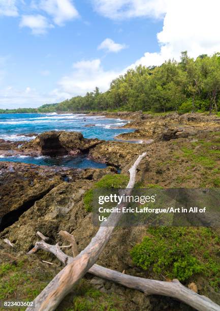 Shefa Bushe 59 Shefa (Province) Stock Photos, High-Res Pictures, and Images - Getty ...