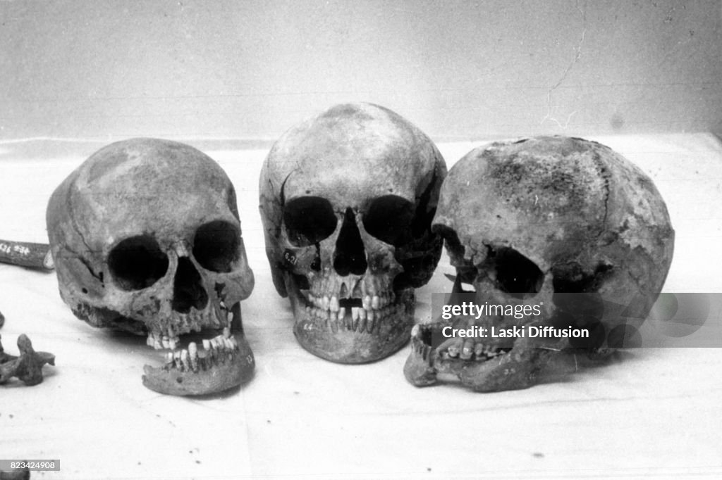 Investigation into the execution of the Romanov family