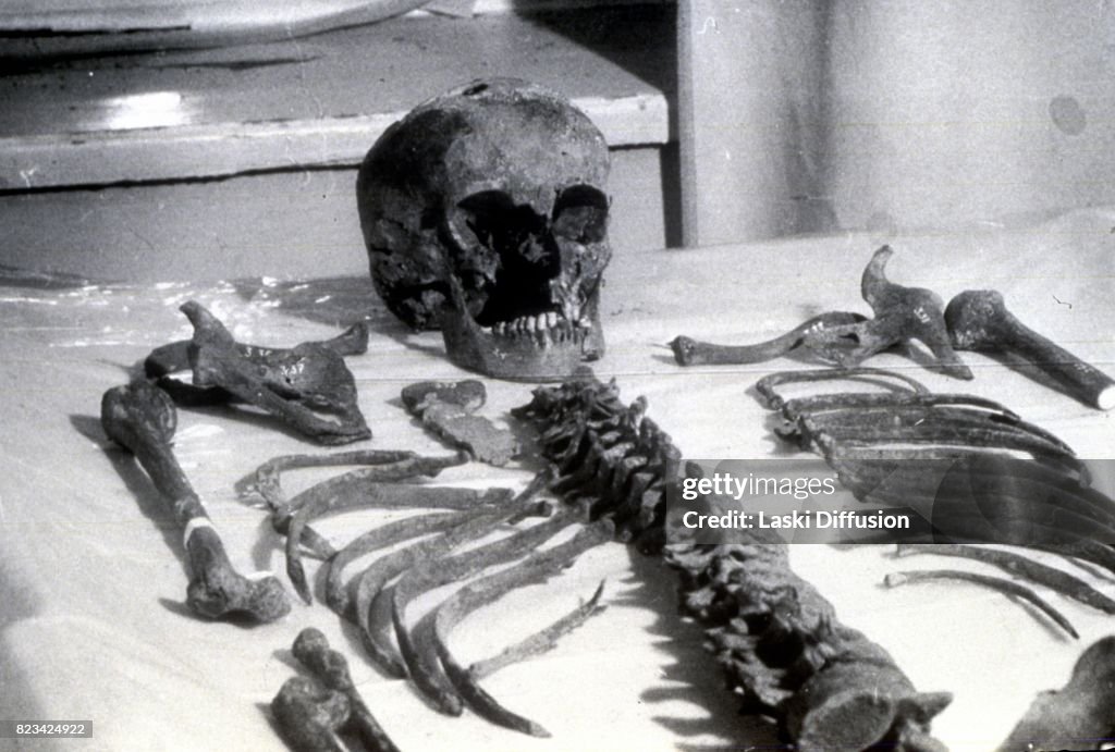 Investigation into the execution of the Romanov family