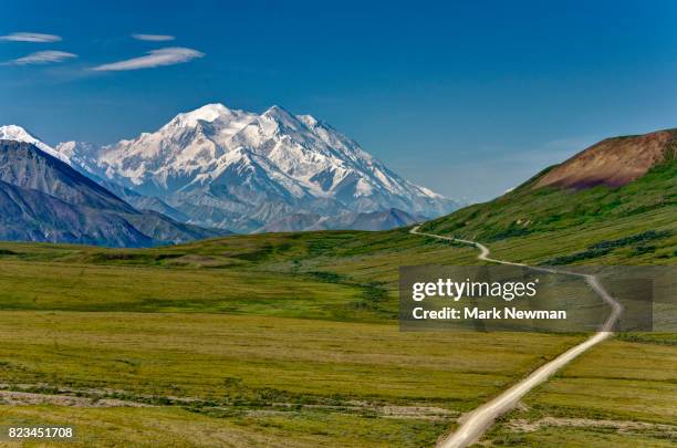 denali and road - denali national park foto e immagini stock