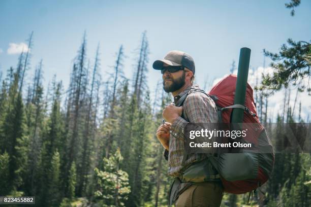 hiking through the forest - high-uintas-wilderness stock pictures, royalty-free photos & images