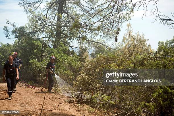 Out Control Fire 302 Out Of Control Hose Stock Photos, High-Res Pictures, and Images ...