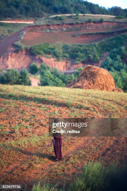 tibetan girls walk in the prairie village - tibetan ethnicity stock pictures, royalty-free photos & images