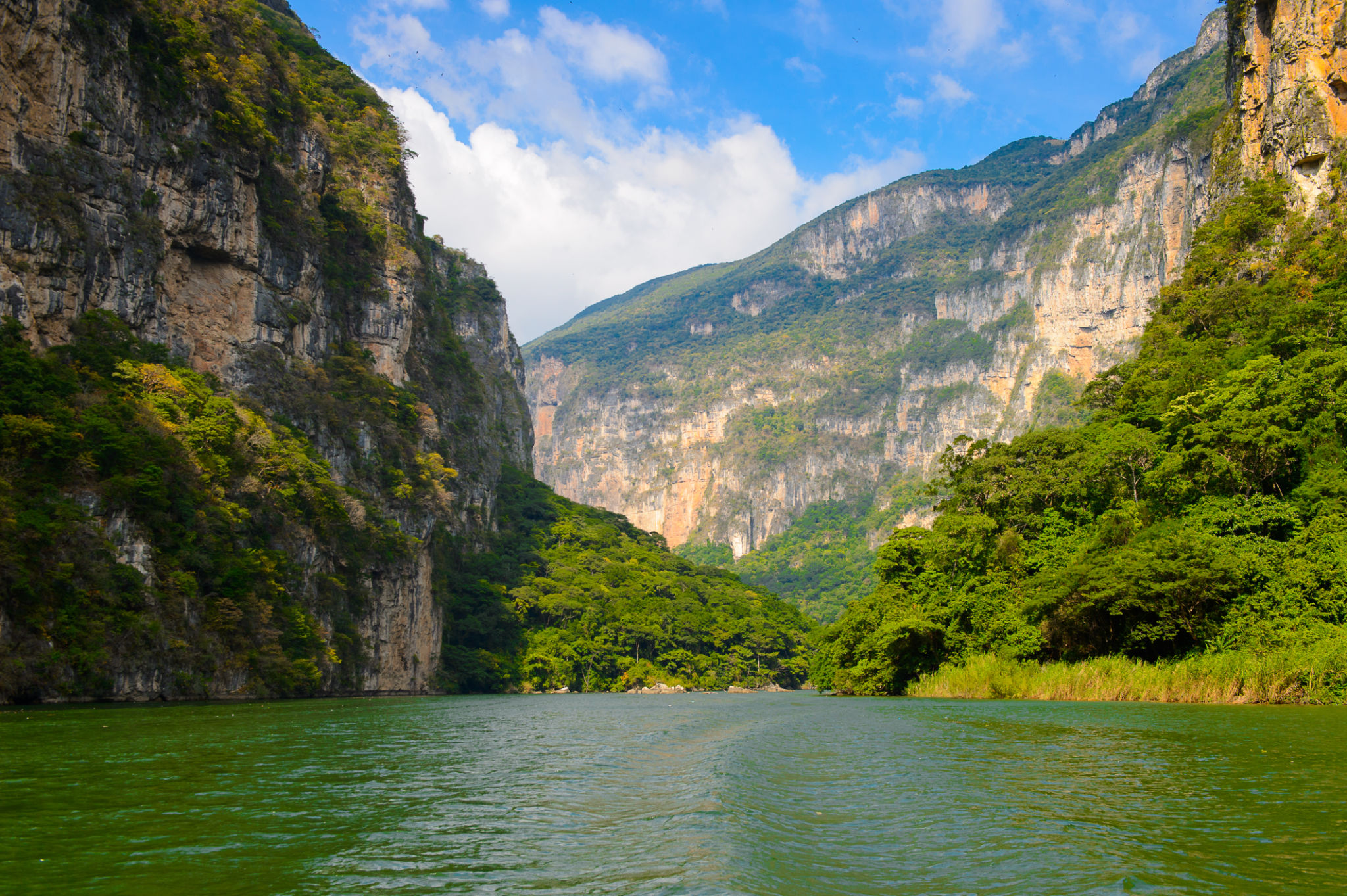seguros Chiapas