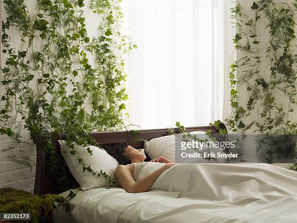 woman in bed, vines hanging from wall - 常春藤 個照片及圖片檔