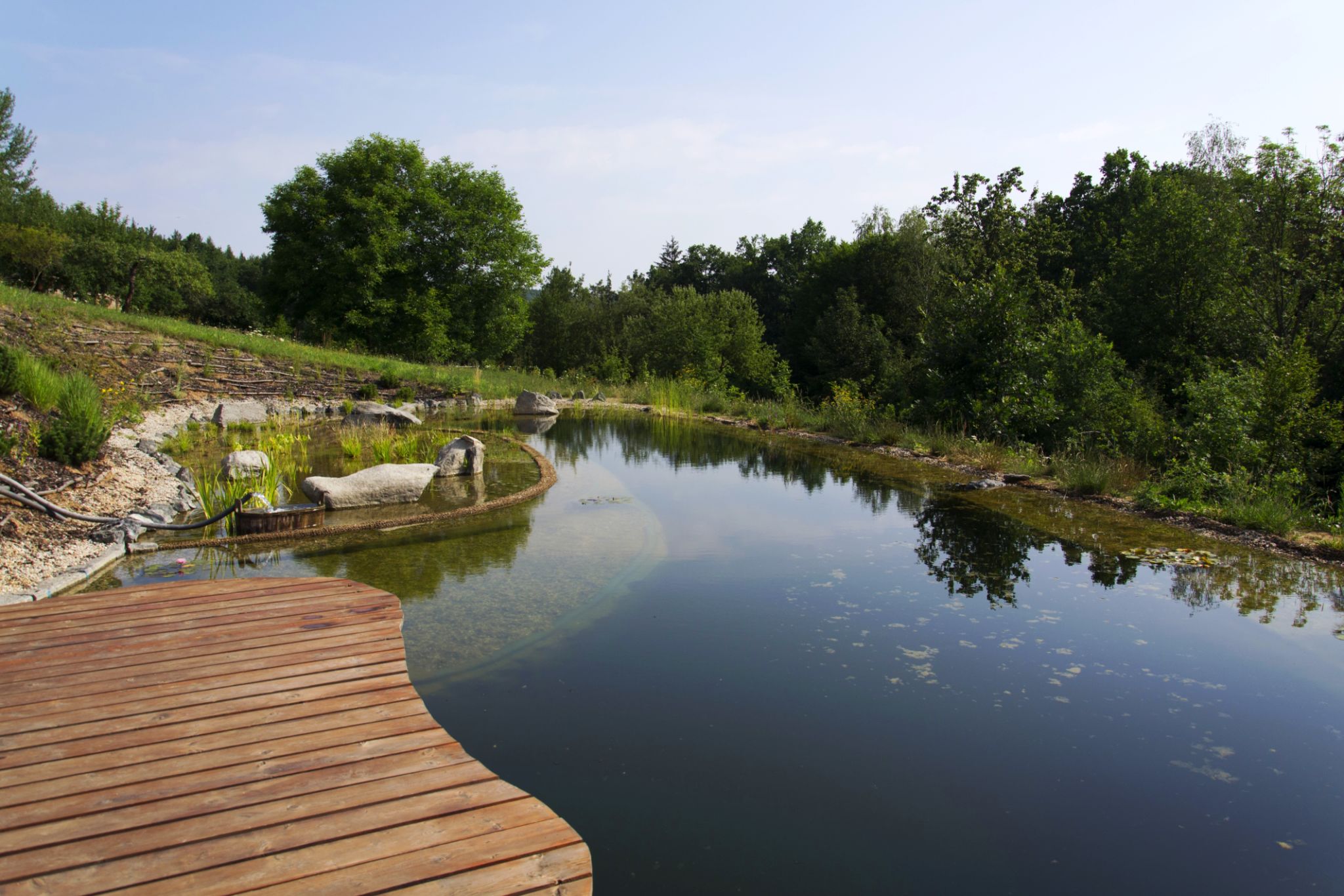 natural pool design